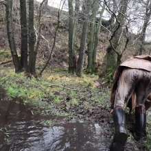 WetandMuddy: Video 97--Flood Pla'in
