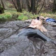 WetandMuddy: Video 97--Flood Pla'in