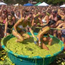 Bobographer: 'Tub in the Park' event--guacamole