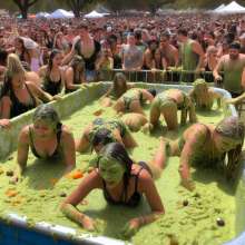 Bobographer: 'Tub in the Park' event--guacamole