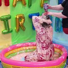 Darla DeVour: A to Z Messy Session