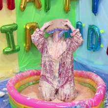 Darla DeVour: A to Z Messy Session