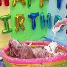 Darla DeVour: A to Z Messy Session