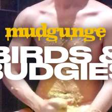 mudgunge: Birds and Budgies