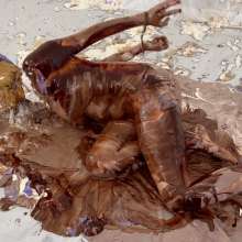 Messygirl: New Messygirl Download: Cadence Lux Becomes a Messygirl