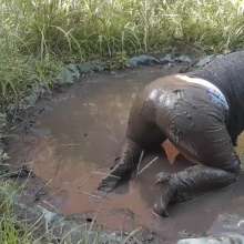 Darkabyss445: Darkabyss445 in Her Sexy Muddy Adventure