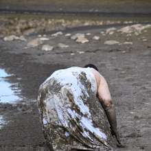 JD and Messy Andi: A Beautiful Bride in the Mud!