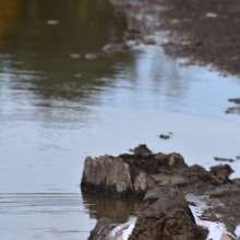 JD and Messy Andi: A Beautiful Bride in the Mud!