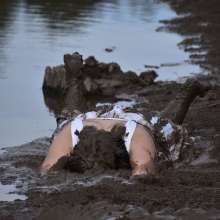 JD and Messy Andi: A Beautiful Bride in the Mud!