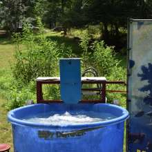 JD and Messy Andi: A Beautiful Bride Gets Dunked!