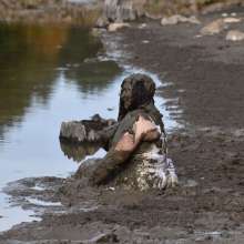 JD and Messy Andi: A Beautiful Bride in the Mud!