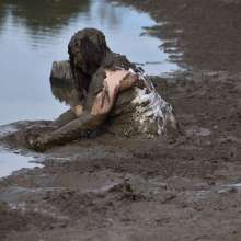 JD and Messy Andi: A Beautiful Bride in the Mud!