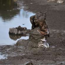 JD and Messy Andi: A Beautiful Bride in the Mud!