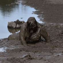 JD and Messy Andi: A Beautiful Bride in the Mud!