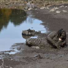 JD and Messy Andi: A Beautiful Bride in the Mud!