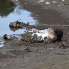 JD and Messy Andi: A Beautiful Bride in the Mud!