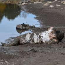 JD and Messy Andi: A Beautiful Bride in the Mud!