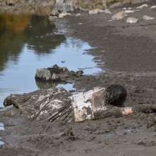 JD and Messy Andi: A Beautiful Bride in the Mud!