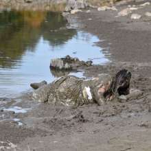 JD and Messy Andi: A Beautiful Bride in the Mud!