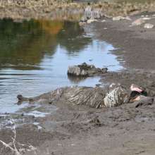 JD and Messy Andi: A Beautiful Bride in the Mud!