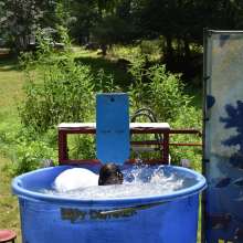 JD and Messy Andi: A Beautiful Bride Gets Dunked!