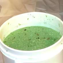 Slime Genesis: Larzstord and Daisy Lets Fate Decide Who Gets the Messiest!