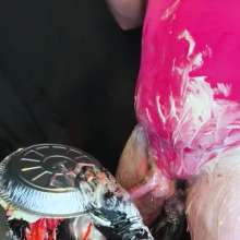 MissNoire - EffToy: Messtress Blowjob Fun