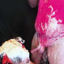 MissNoire - EffToy: Messtress Blowjob Fun