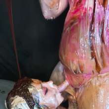 MissNoire - EffToy: Messtress Blowjob Fun