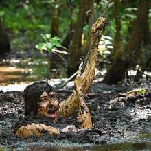 dlodoski: Sadie is Sinking About You in the Bog--Photos