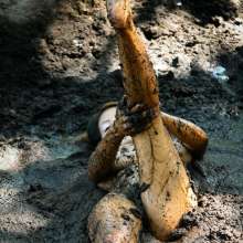 dlodoski: Sherly is Addicted to Peat Bogs--Photos