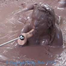 Dirty Muse: Mud Dreams--Carmen Valentina