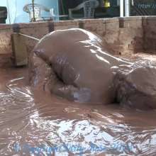 Dirty Muse: Mud Dreams--Carmen Valentina
