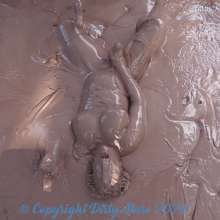 Dirty Muse: Mud Dreams--Carmen Valentina