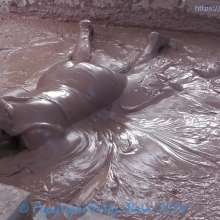 Dirty Muse: Mud Dreams--Carmen Valentina
