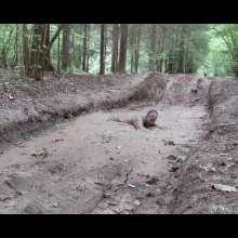 Rotterdam pornstar: Muddy Afternoon Walk