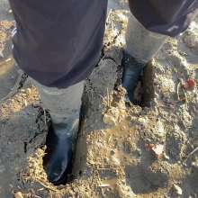 MuddySideUp: Muddy Dark Blue Wellies05