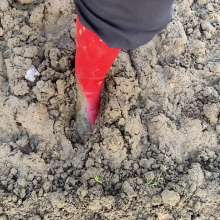 MuddySideUp: Muddy Red Hunters07