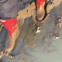 MuddySideUp: Muddy Red Hunters07