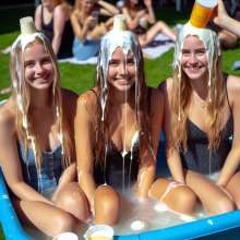 schneider: Park Fun