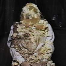 Pie Plastered Tranny: 