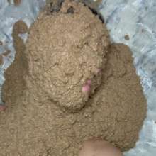 Slimed Models: Scarlett Coated in Dog Food