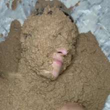 Slimed Models: Scarlett Coated in Dog Food