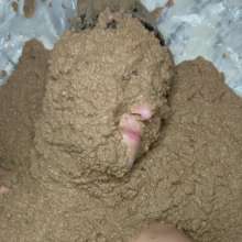 Slimed Models: Scarlett Coated in Dog Food