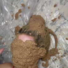 Slimed Models: Scarlett Coated in Dog Food