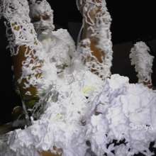 Alana SexyMessyBabes: Slime Games 1