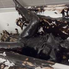 Messygirl: Sludge Covered Stephanie