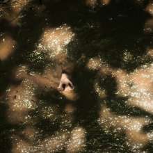 QS4Ever: Tiny Hidden Under Fallen Leaves