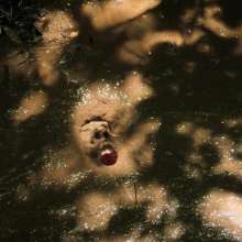 QS4Ever: Tiny Hidden Under Fallen Leaves