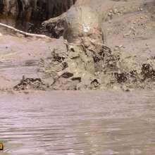 FOXY: Adele final video in mud